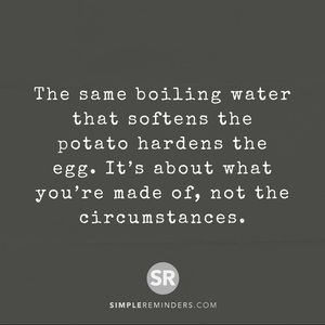 Meet your Posher, Junie